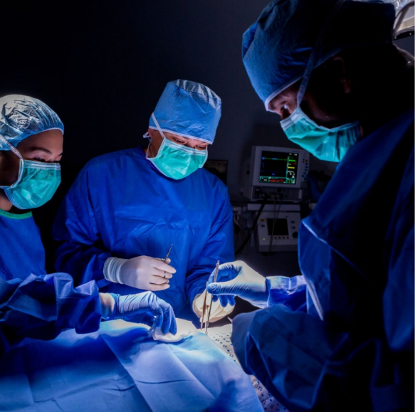 General Surgery image 3