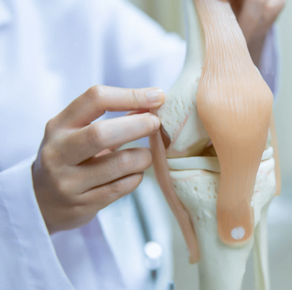 Orthopaedic Care image 1